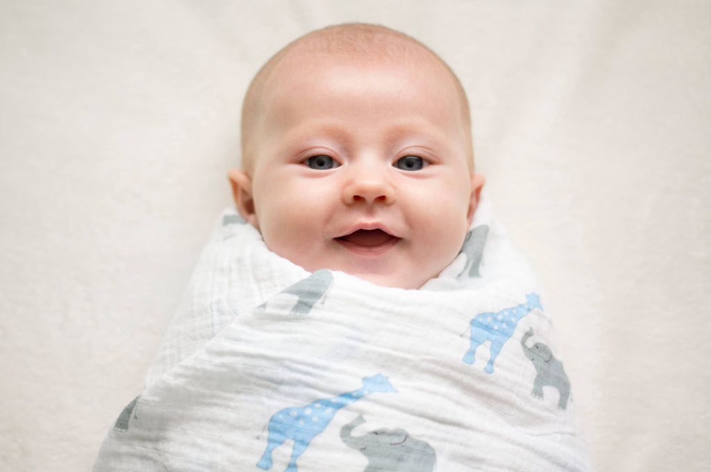 SwaddleDesigns - Giraffe & Friends Marquisette Swaddles Set of 3