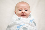 SwaddleDesigns - Giraffe & Friends Marquisette Swaddles Set of 3