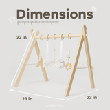 Foldable Baby Play Gym with 5 Hanging Toys