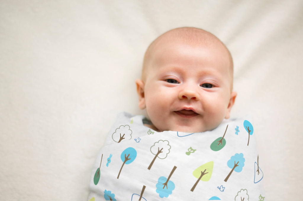 SwaddleDesigns - Giraffe & Friends Marquisette Swaddles Set of 3