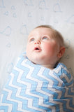 SwaddleDesigns - Giraffe & Friends Marquisette Swaddles Set of 3